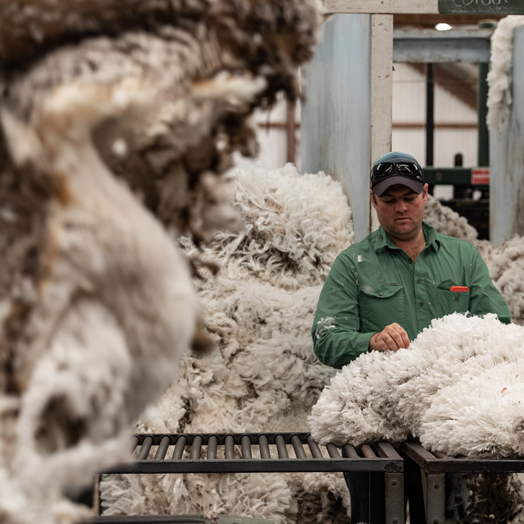 Quality controller at Congi station checking the fresh shorn fleece