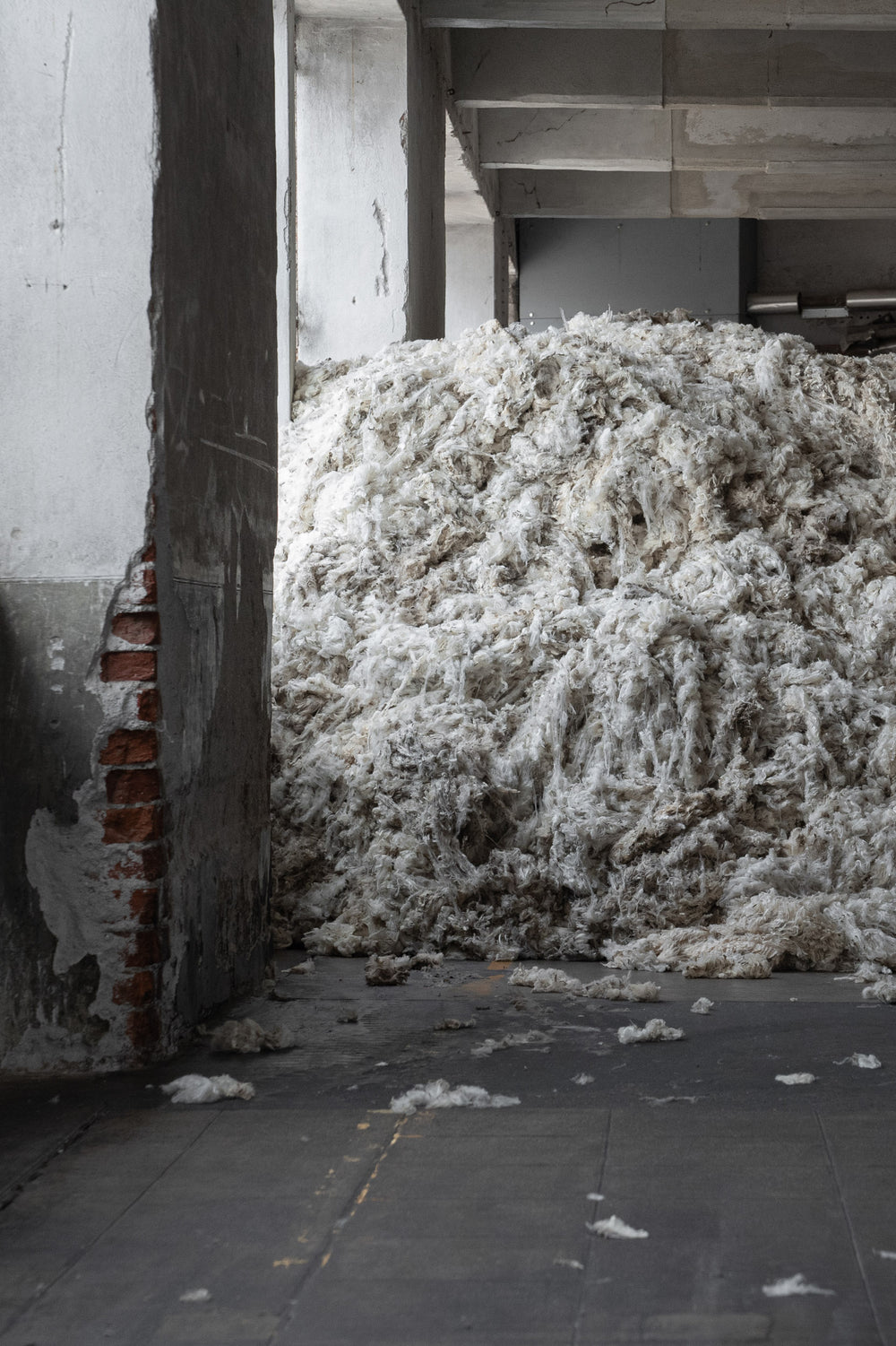 Wool resting before scouring in the warehouse of Romagnanosesia
