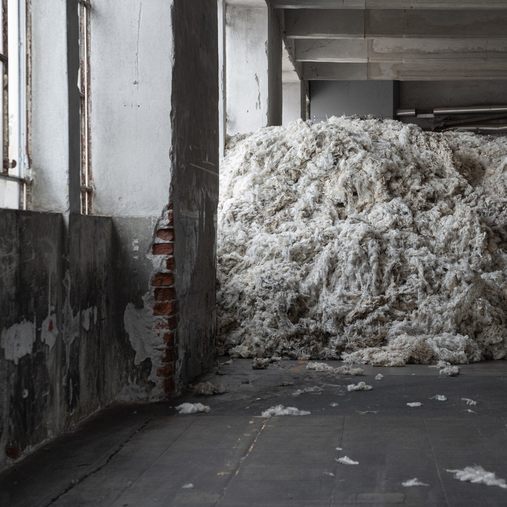 Raw uncombed wool resting in the warehouse of Romangnano Sesia