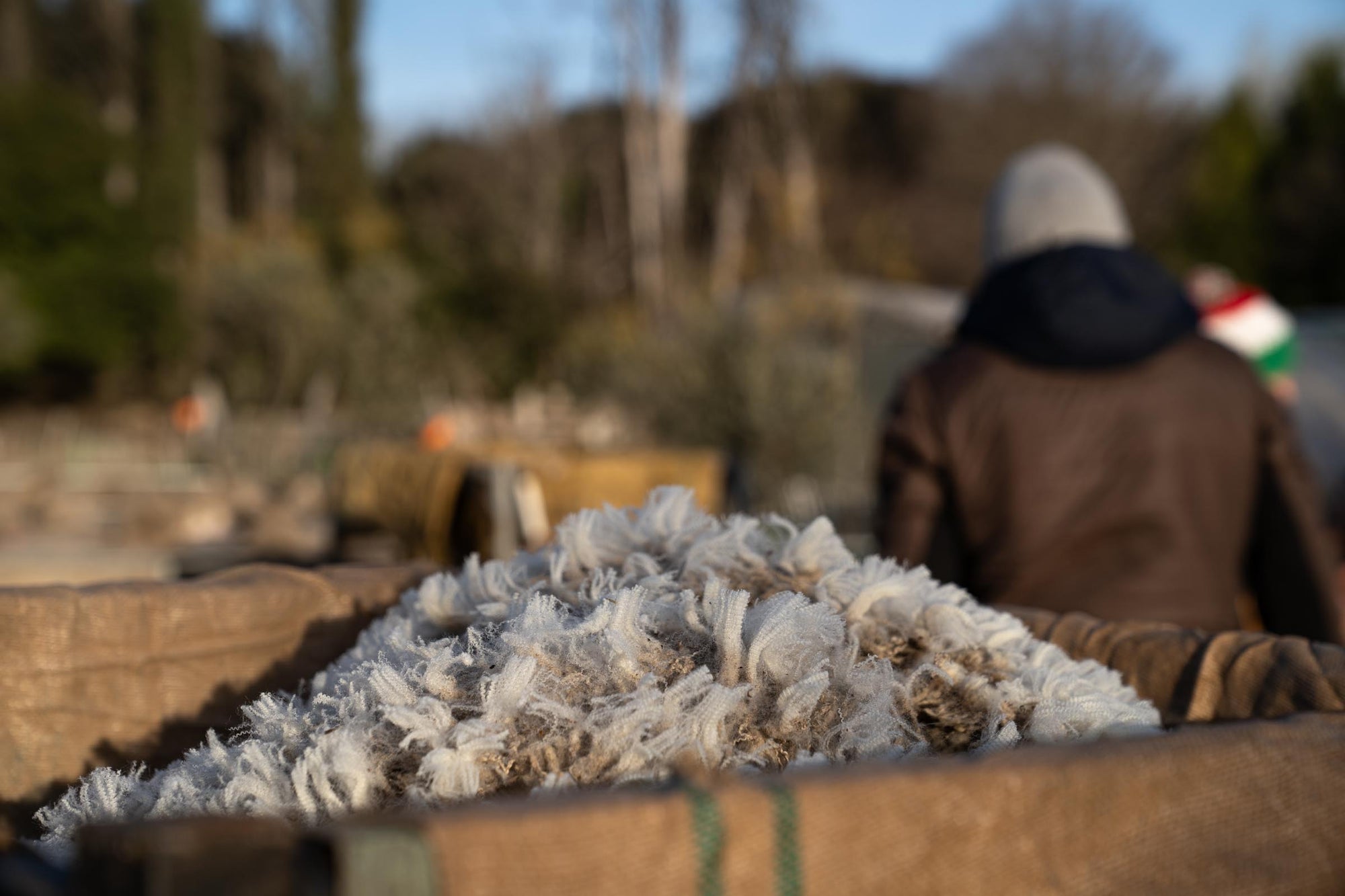 Close up of Merino d'Arles fleeces resting in a bale