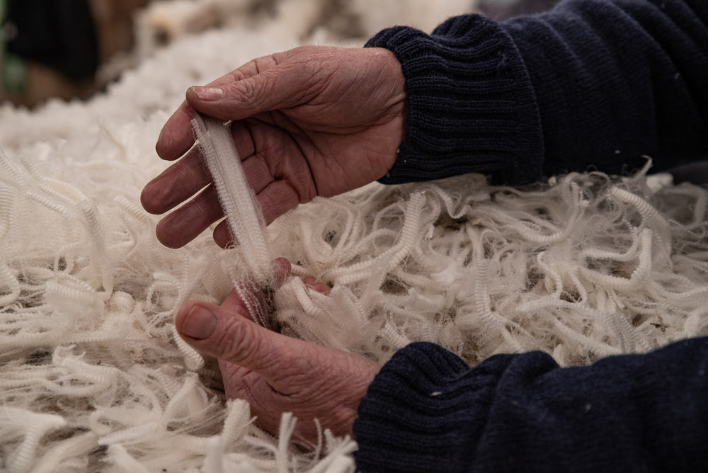 Close up of Merino Fibres.
