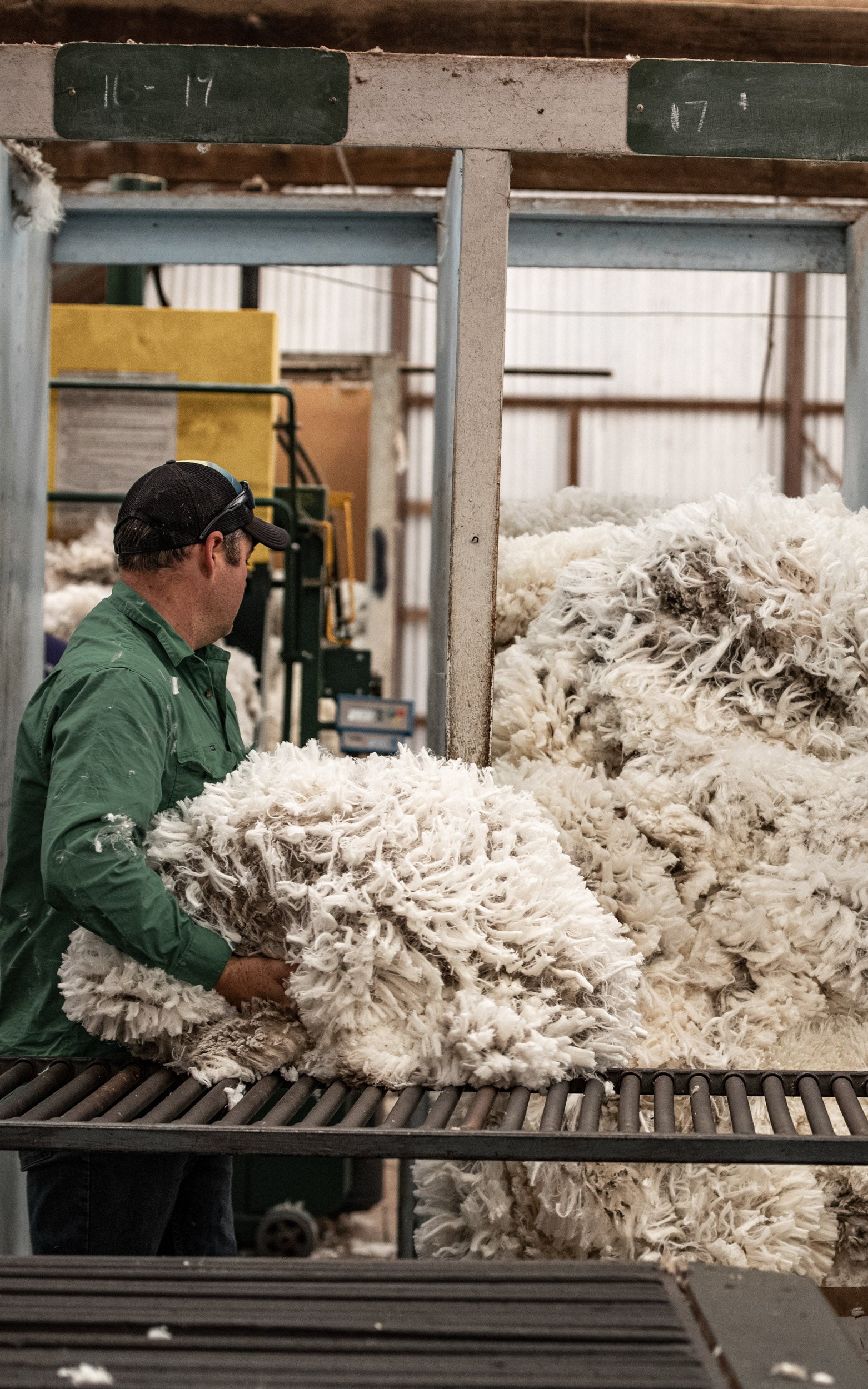 Freshly shorn Merino fleece is sorted by quality at Congi Station