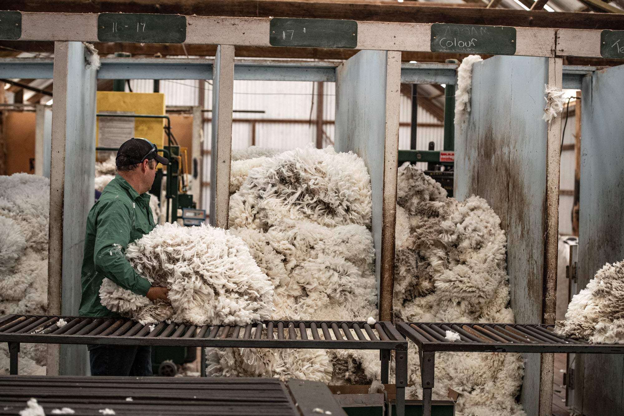 Freshly shorn Merino fleece is sorted by quality at Congi Station