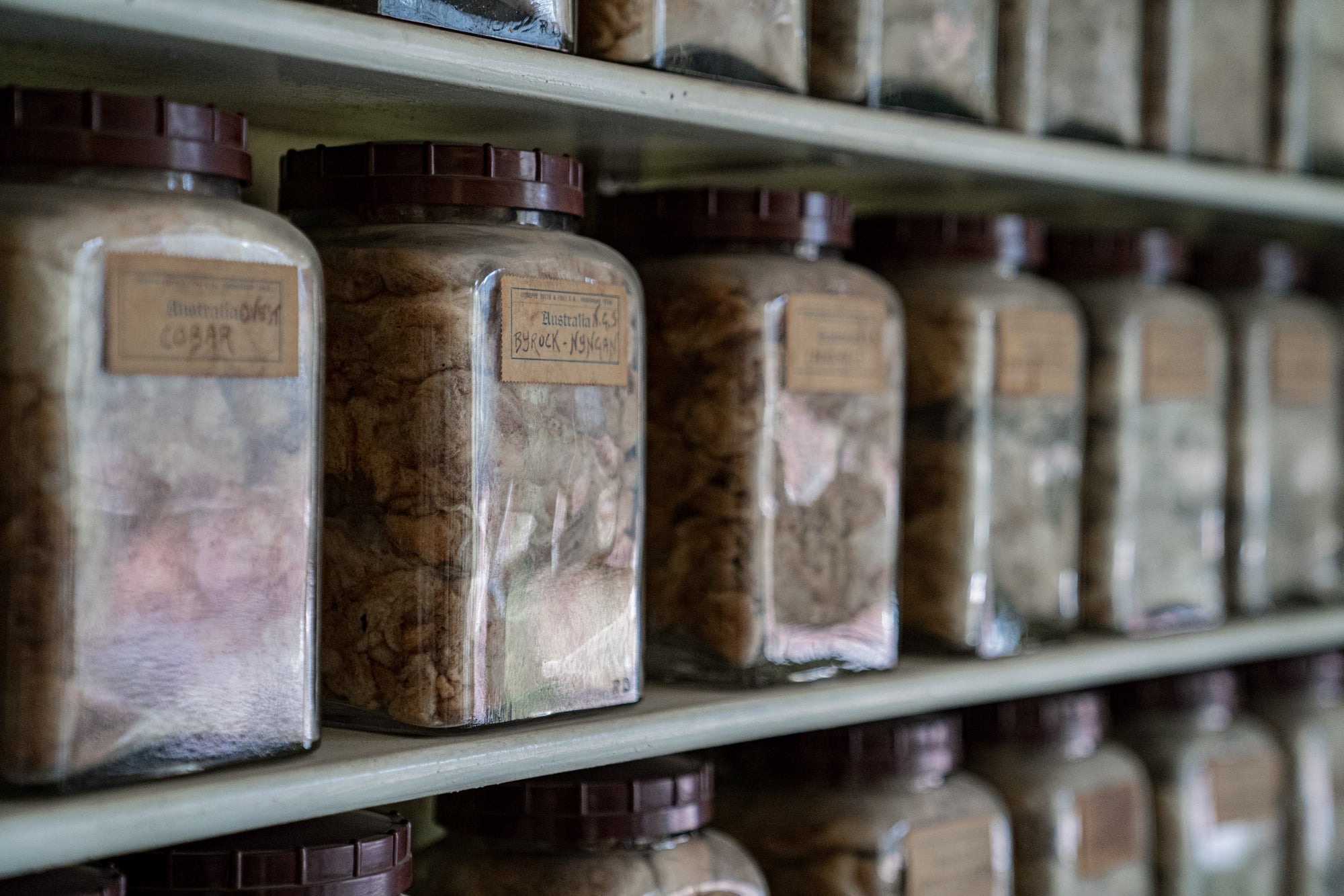 Merino wool quality samples in a yarn on shelf at Romagnano Sesia