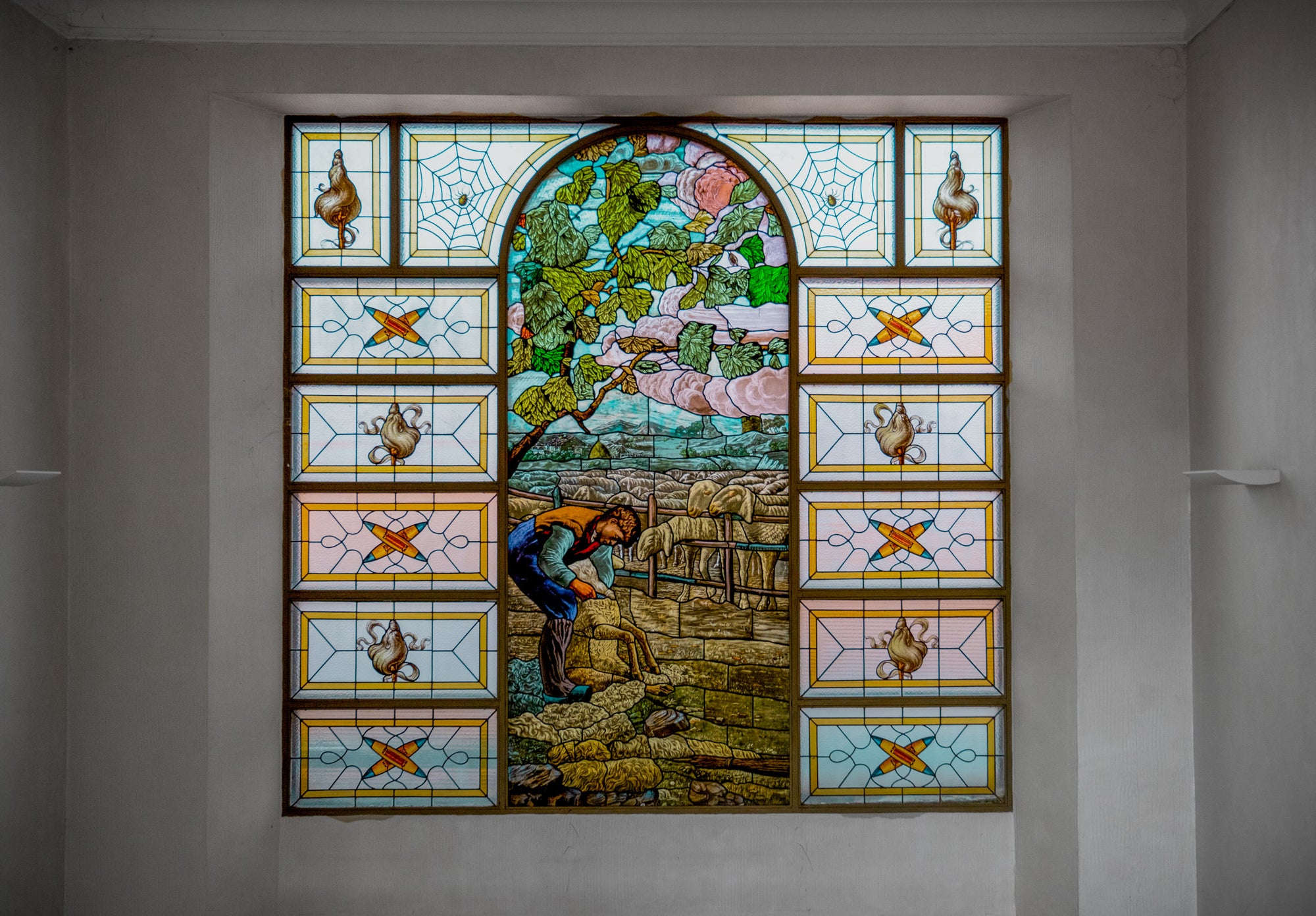 Stained Glas window with shepherd shearing sheep at Romagnano sesia