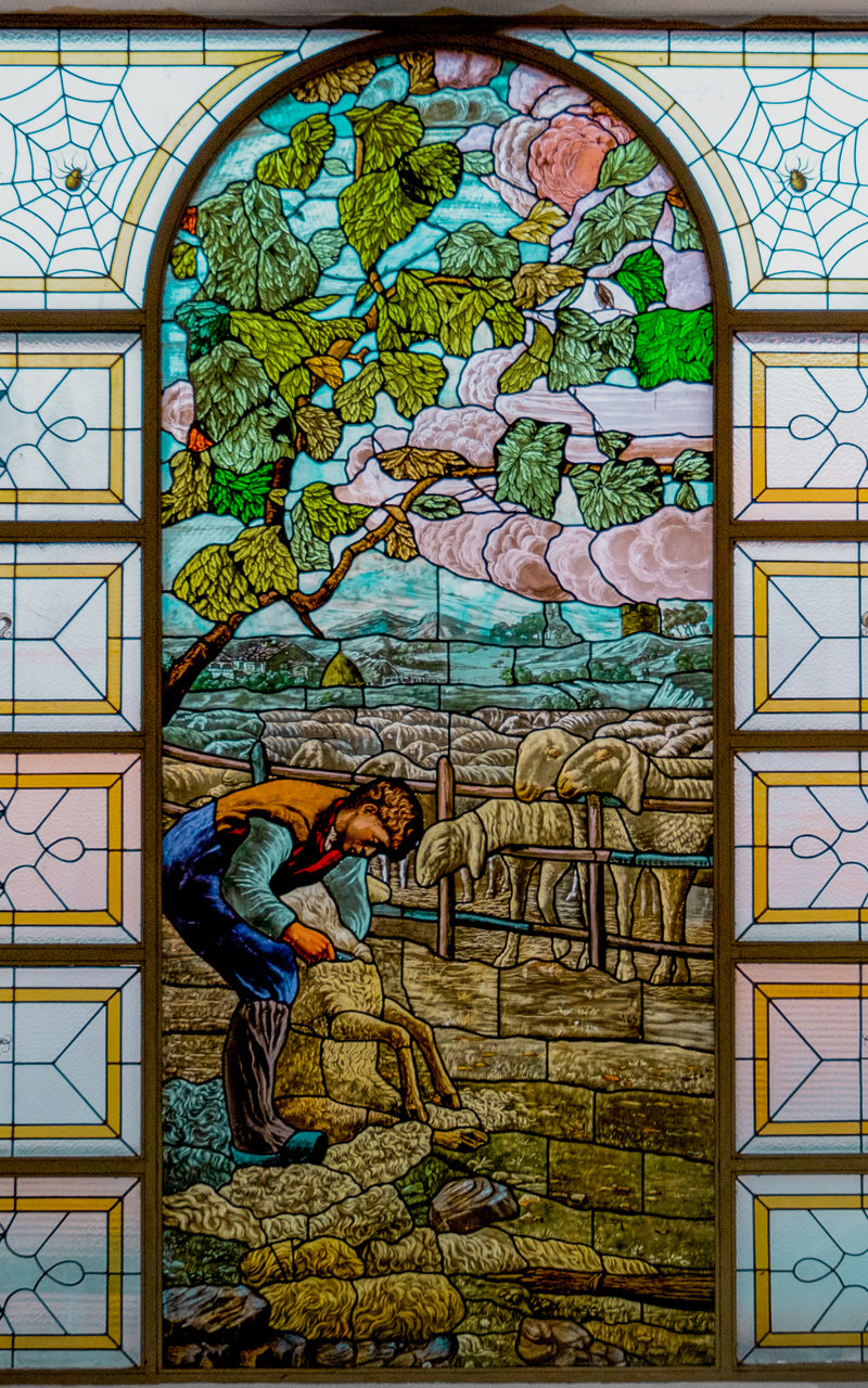Stained Glas window with shepherd shearing sheep at Romagnano sesia