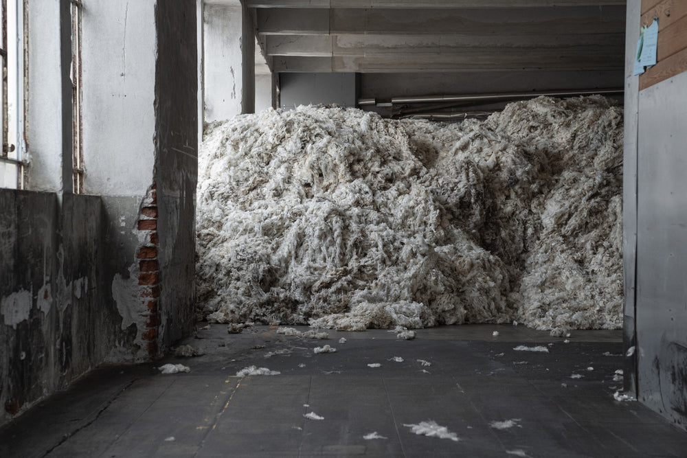 Large amount of unbaled Merino wool resting in the warehouse of Romagnano Sesia