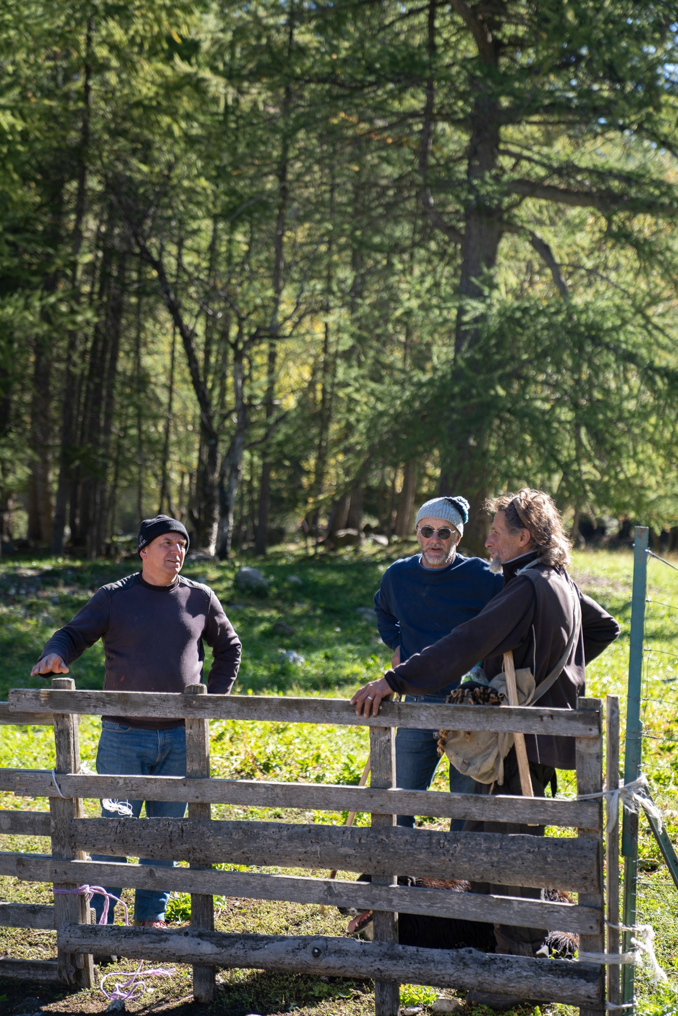 Sherherds talking while resting a fence.