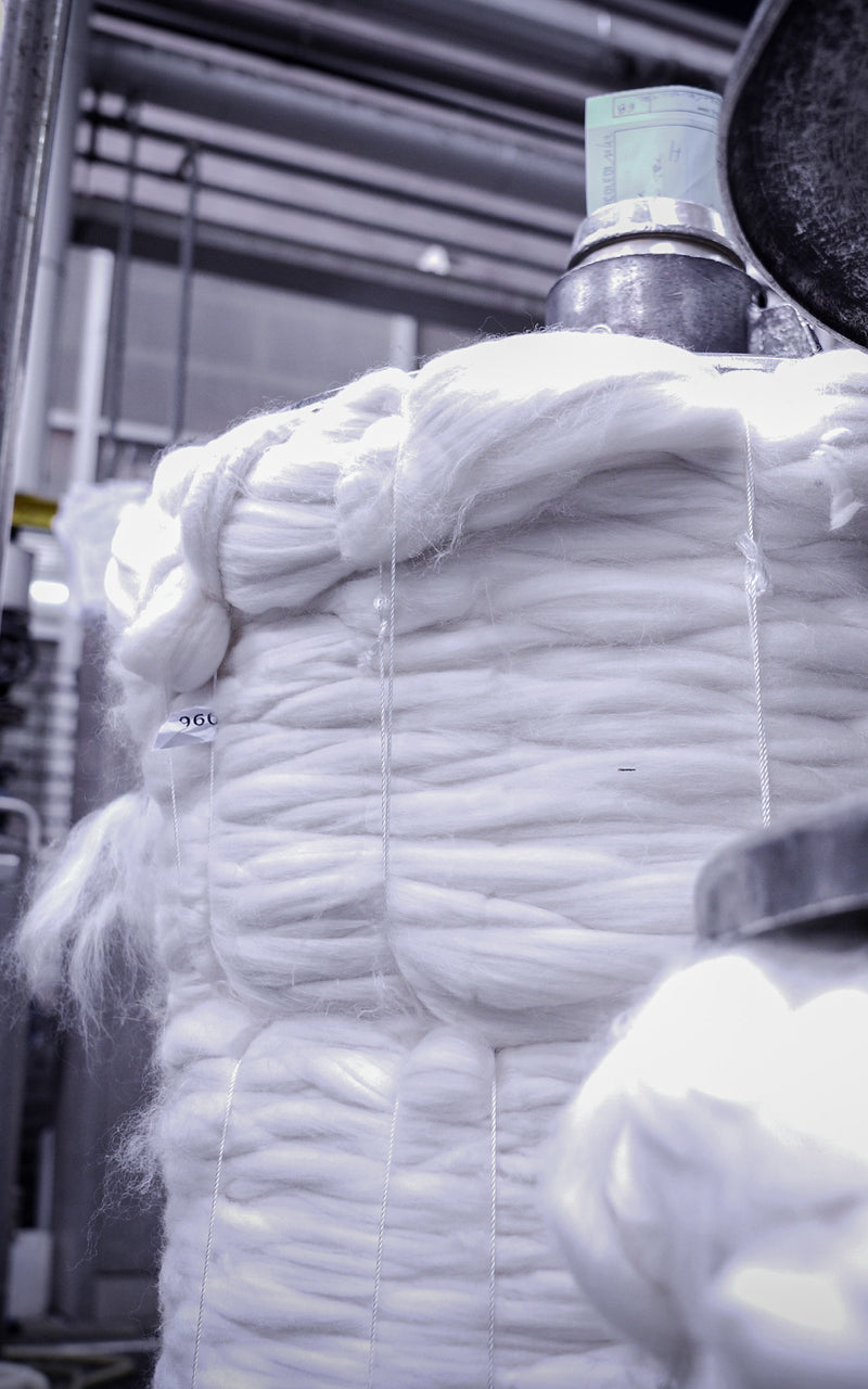 Undyed Merino wool tops at dying facility in Valle Mosso