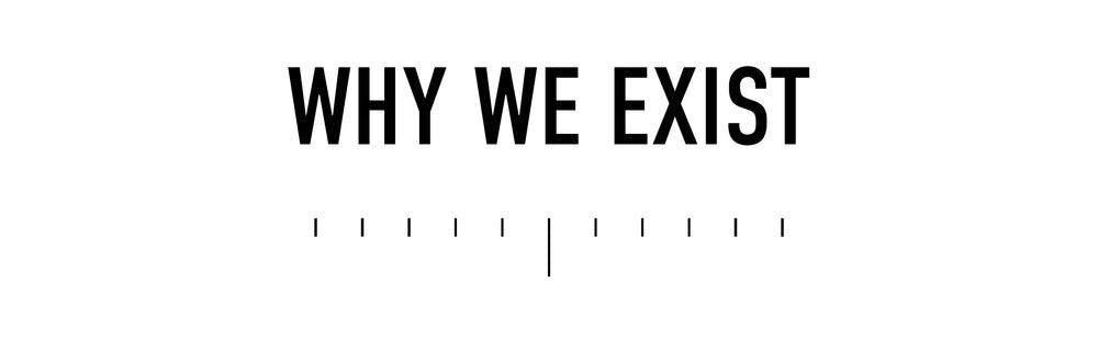 Artwork with the title header text "Why we Exists"