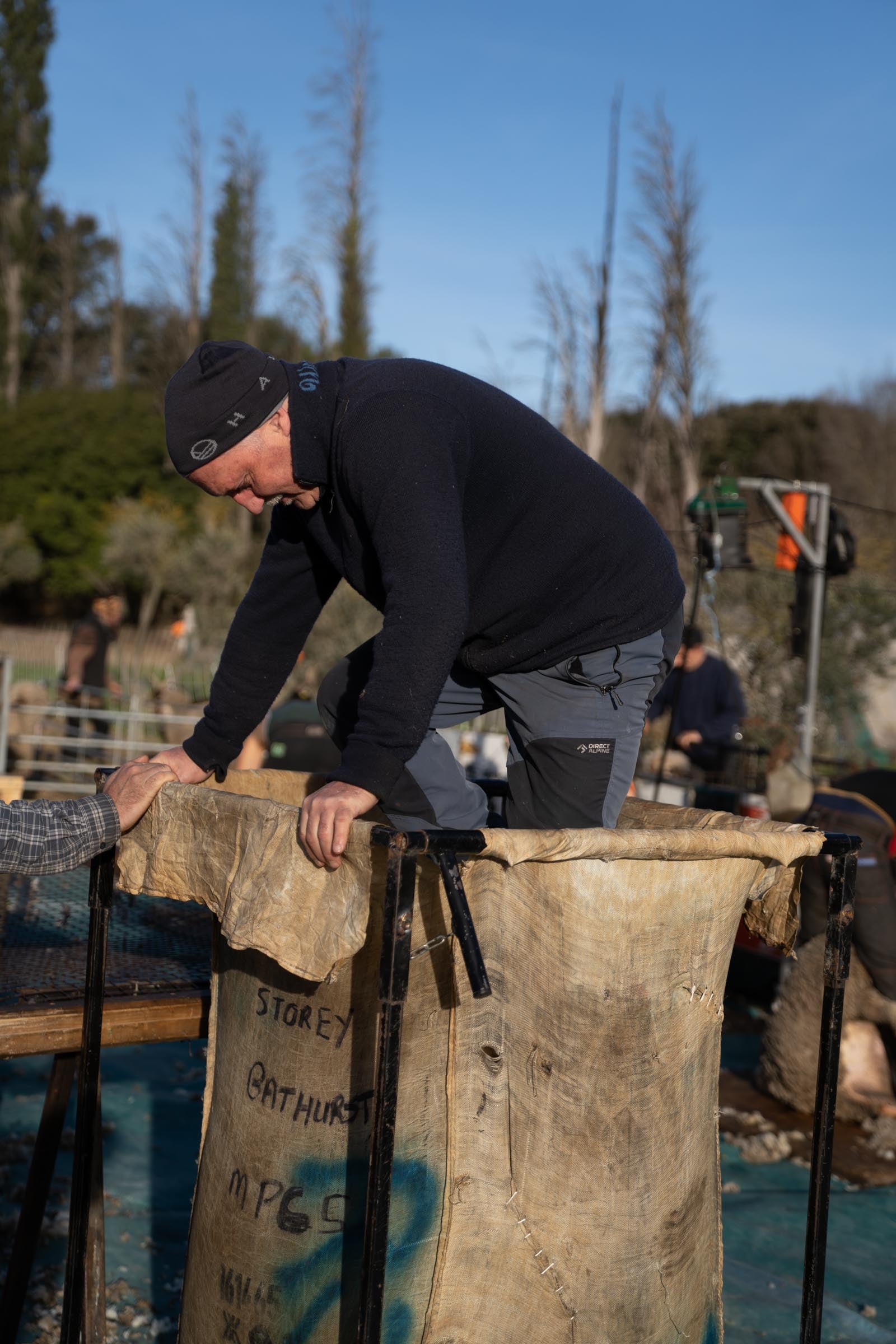 A person manually stamping wool in a bale to compress it.